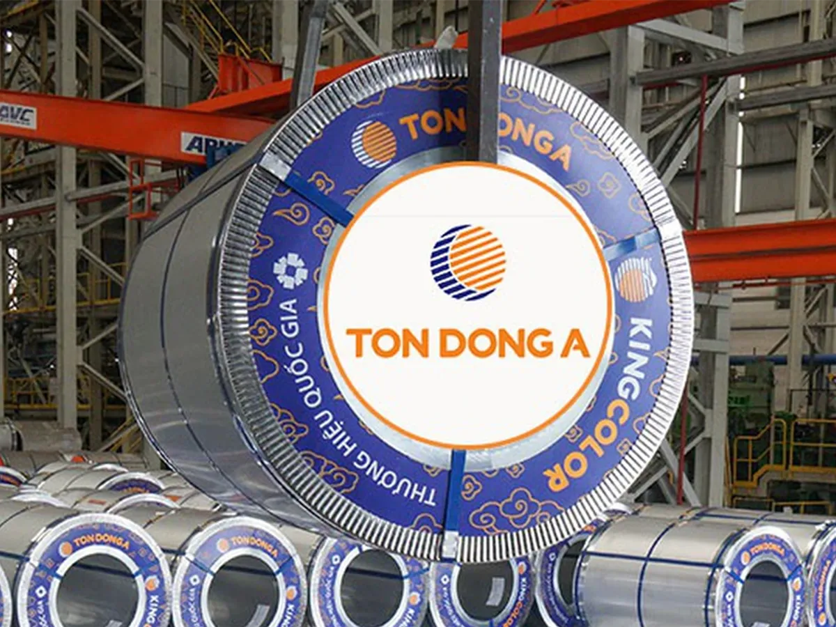 Tôn Đông Á - Ảnh 2